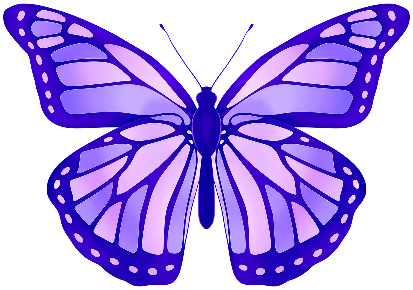 athletica papillon violet